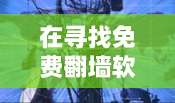 在寻找免费翻墙软件时，我需要考虑以下因素
