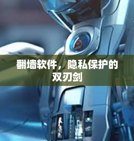 翻墙软件,隐私保护的双刃剑 翻墙软件,隐私保护的双刃剑