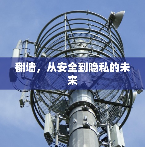 翻墙，从安全到隐私的未来