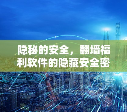 隐秘的安全，翻墙福利软件的隐藏安全密码