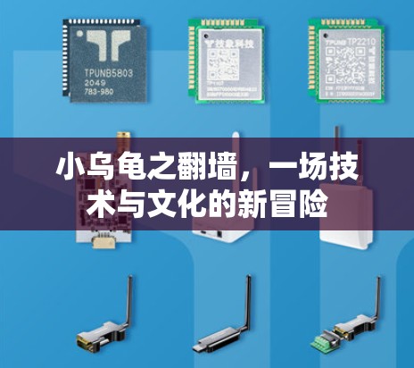 小乌龟之翻墙，一场技术与文化的新冒险