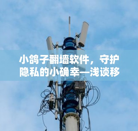 小鸽子翻墙软件，守护隐私的小确幸—浅谈移动应用中的数据安全