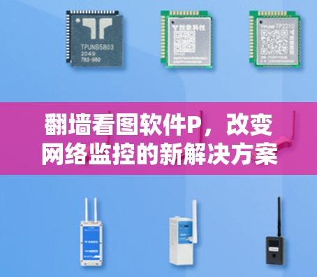 翻墙看图软件P，改变网络监控的新解决方案