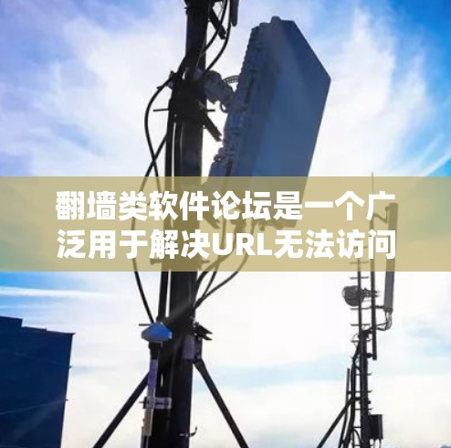 翻墙类软件论坛是一个广泛用于解决URL无法访问问题的平台，用户可以在那里讨论翻墙工具、配置设置、技术问题以及优化访问速度等话题。以下是对这个平台的详细说明