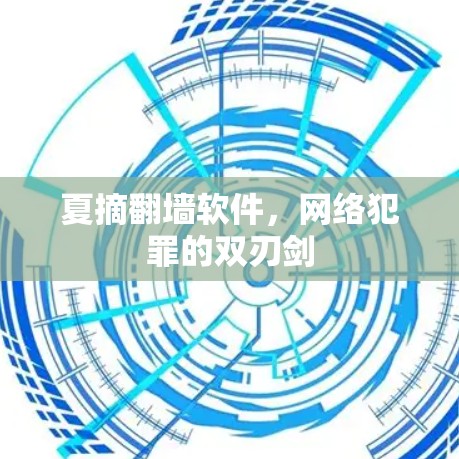 夏摘翻墙软件，网络犯罪的双刃剑