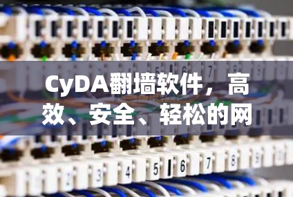 CyDA翻墙软件，高效、安全、轻松的网络沟通工具