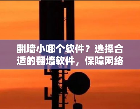 翻墙小哪个软件？选择合适的翻墙软件，保障网络安全与高效管理
